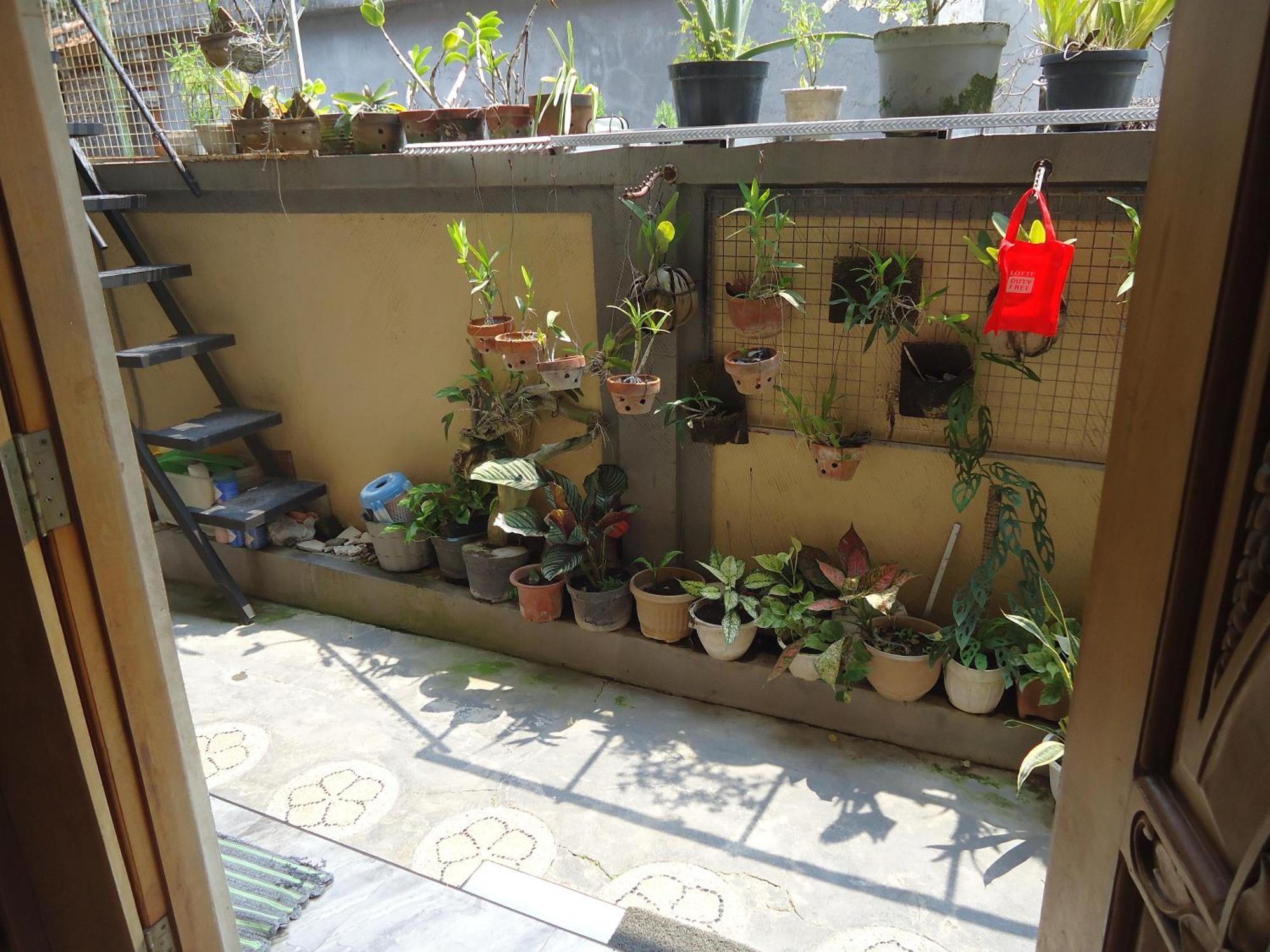 The Reinhold Guesthouse Bali Kerobokan Exterior foto